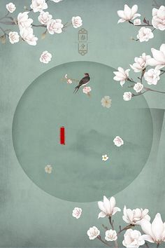 白洁